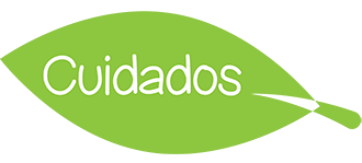 Cuidados